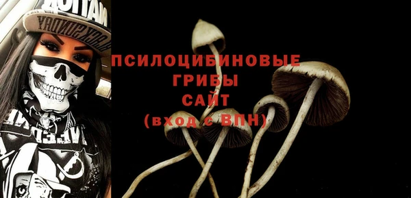 МДПВ Аркадак