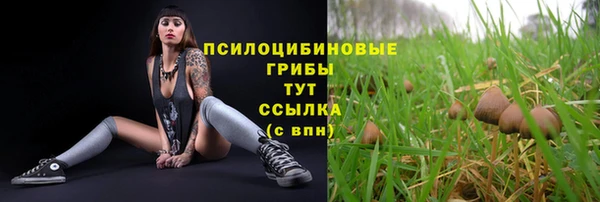 mdpv Арсеньев