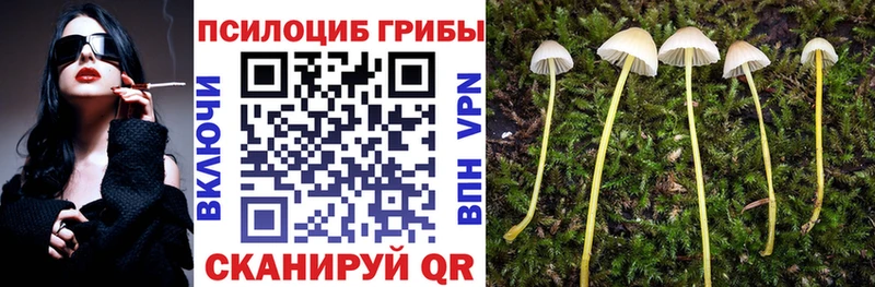 купить наркотики цена  MEGA как зайти  Псилоцибиновые грибы мухоморы  Мирный 